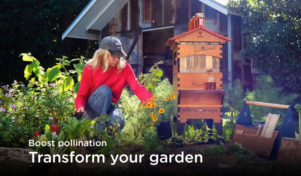 Transform your garden