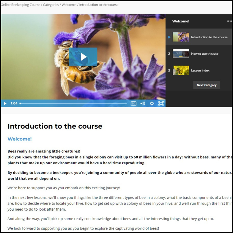 Online beekeeping course - yearly subscription