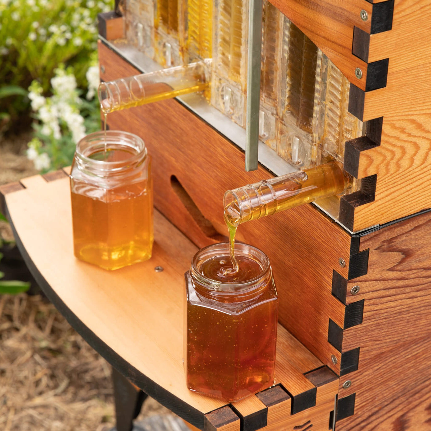 Spring Guide for Experienced Beekeepers - Flow Hive US