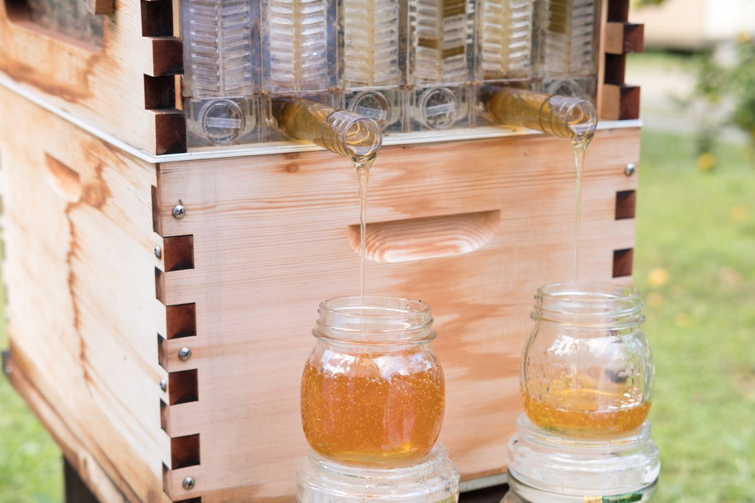 Flow Frames l Flow Hive Honey On Tap Beehive - Flow Hive US