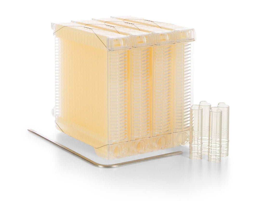 Flow Frames | Japanese Half-Size Flow Frames - Flow Hive US